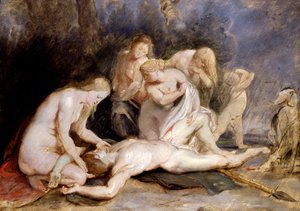 Venus trauert um Adonis